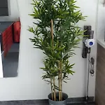 Appartement Volcaloft