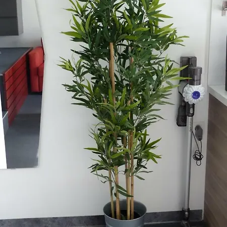 Appartement Volcaloft